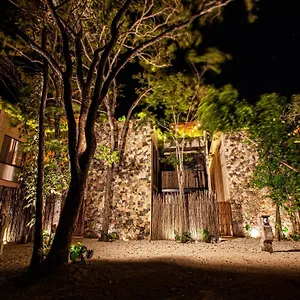 https://jungle-house-tulum.allrivieramayahotels.com